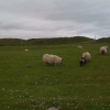 IMG_0547