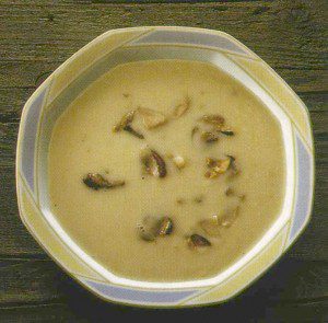 mushroom-soup mushroom-soup