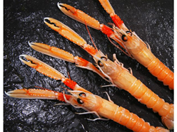 whisky-langoustines whisky-langoustines