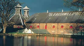 bushmills-distillery2 bushmills-distillery2
